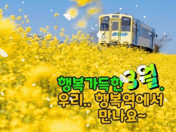 ๐ ์ฐ๋ฆฌ ํ๋ณต์ญ์์ ๋ง๋์