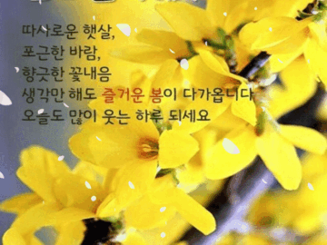 π± λμ λ΄κΈ°λ