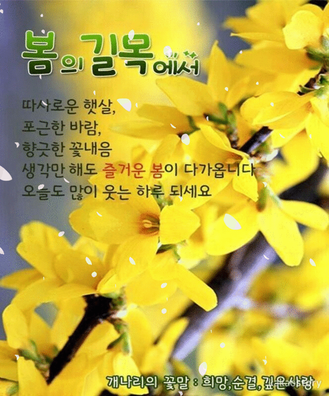 π± λμ λ΄κΈ°λ