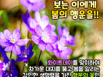 πΈ λΉμ μ νμ΄κ½μ΄ λκ³ μΆλ€