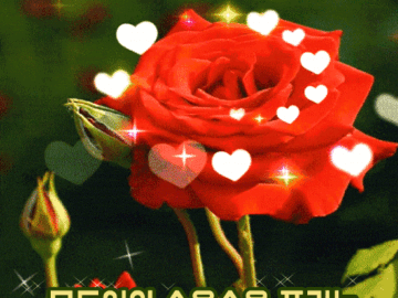 βοΈ μ΄λ° μ€λμ΄μμΌλ©΄ μ’κ² μ΅λλ€