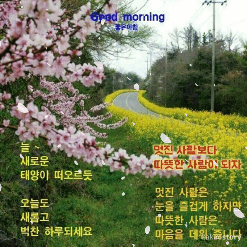 ๐ผ ์ฐ๋ฆฌ๊ฐ ๊ฑท๋ ๊ธธ