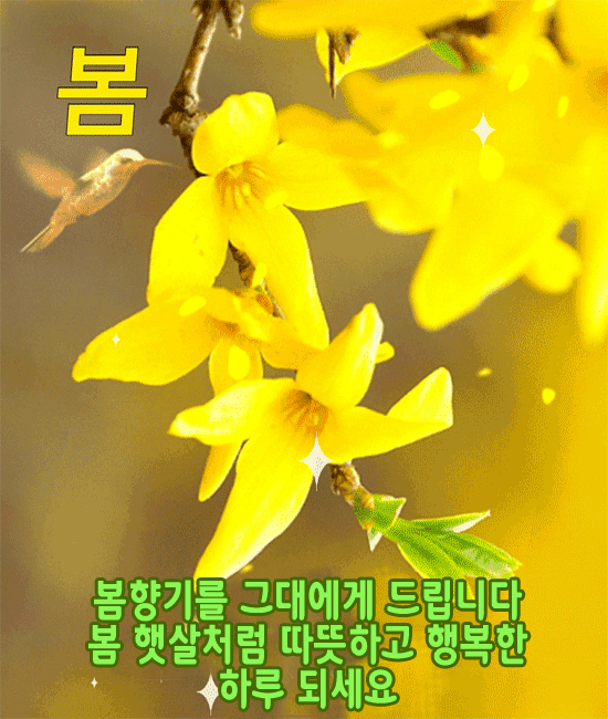 ๐ธ ๊ณ ํฅ์ ๋ด