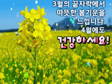 π μΌμμ 보λ΄λ μ½μ