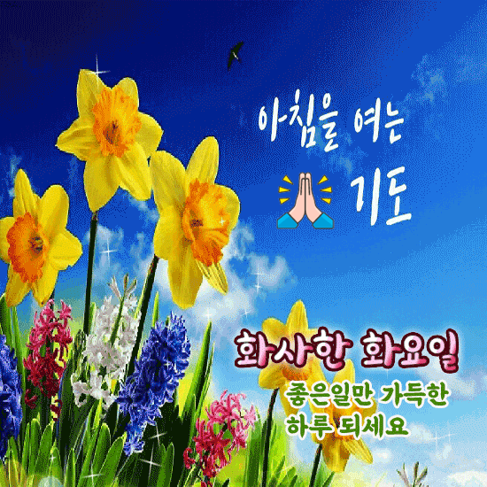 π» μμΉ¨μ μ¬λ κΈ°λ