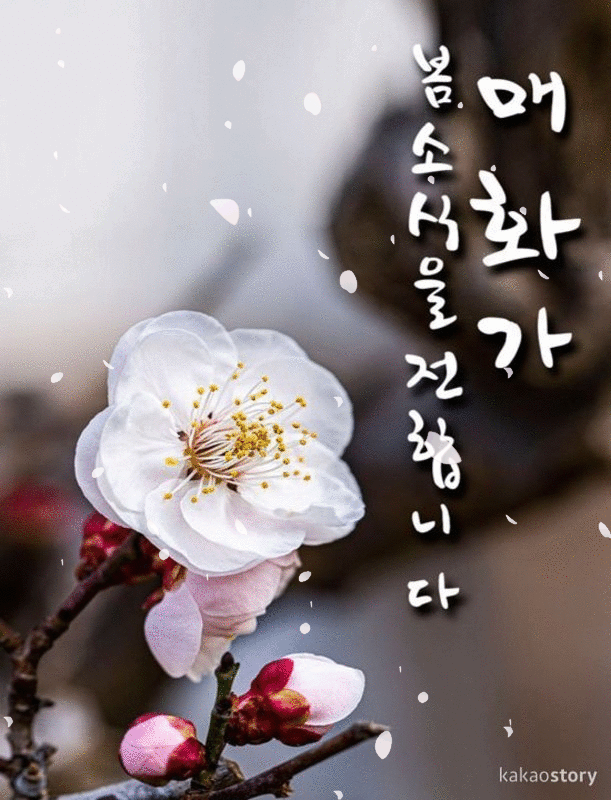 ✨ 삶의 잔잔한 행복