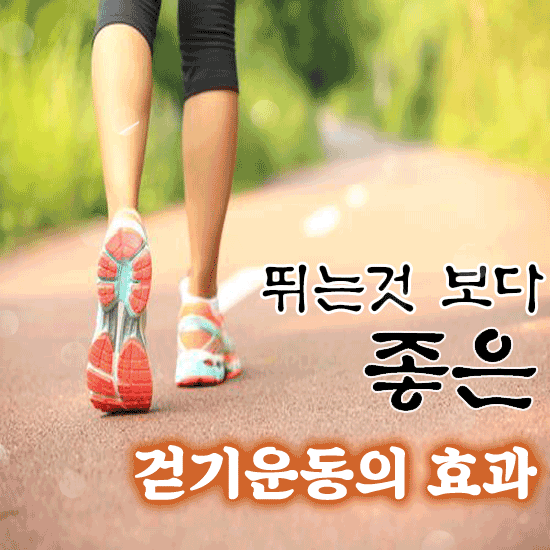 ⭐ 걷기운동의 효과