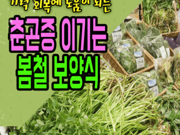 π μΆκ³€μ¦ μ΄κΈ°λ λ΄μ² 보μμ