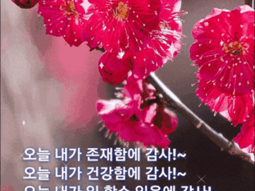 πΌ μΈμ λ κ°μ¬νλ λ§μ