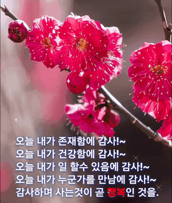 πΌ μΈμ λ κ°μ¬νλ λ§μ