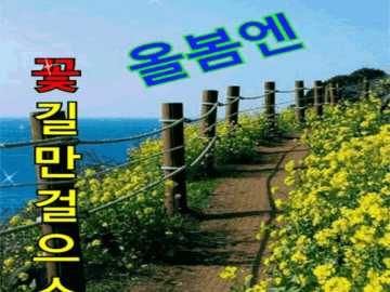 ๐ผ ๊ฝ๊ธธ