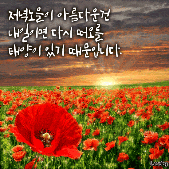 π μΉκ΅¬μΌ κ±° μ°Έ λ³κ±° μλ€