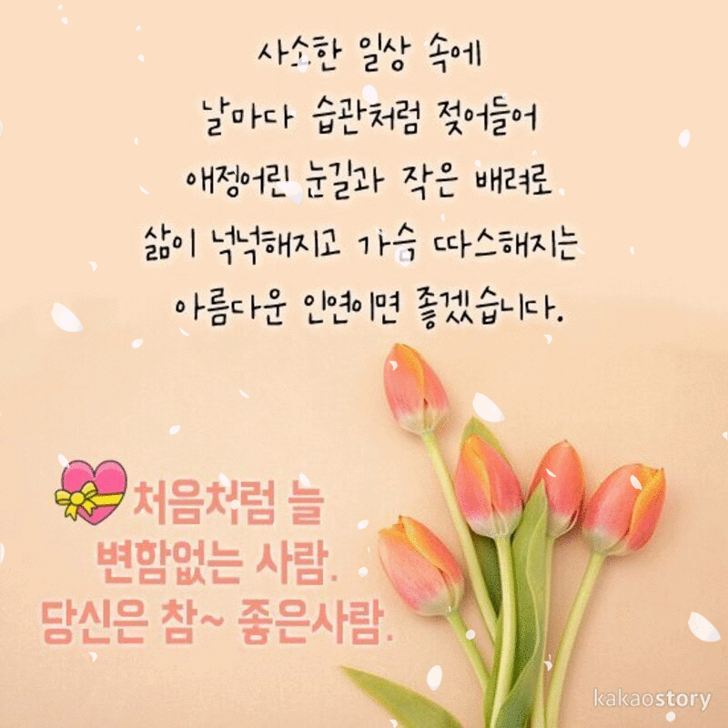 π λΉμ μ μ°Έ μ’μ μ¬λμ
λλ€