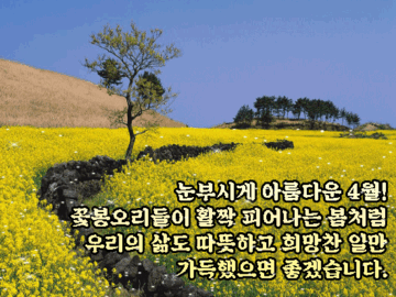 💐 중년의 가슴에 4월이 오면