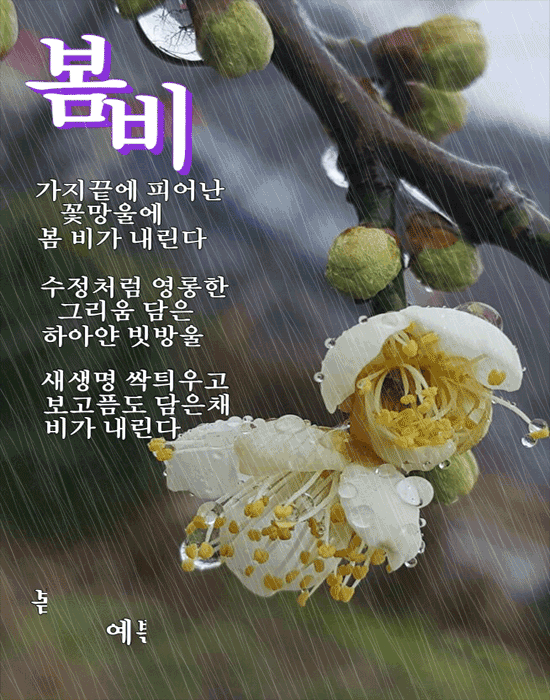 π λ΄λΉμ²λΌ κ·Έλ λ΄ κ°μ΄μ λ΄λ¦½λλ€