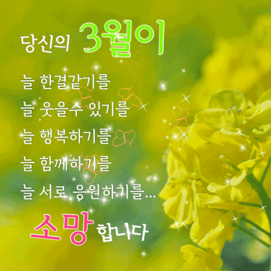 π λΉμ μ 건κ°κ³Ό ν볡μ μλ§ν©λλ€!