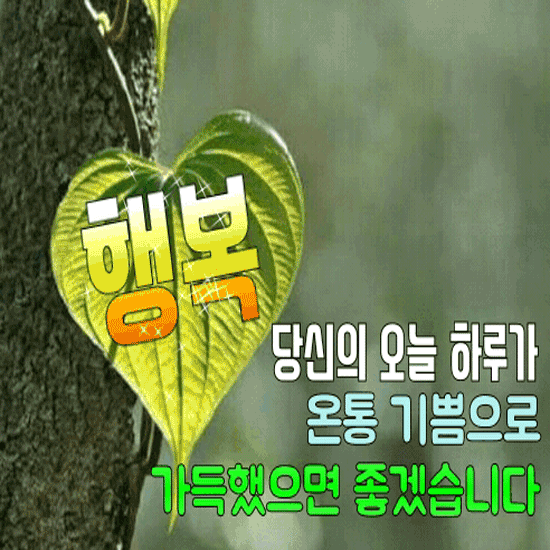 π μ€λμ μ λ¬Όνλ€