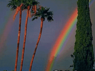 ๐ ๋ฏธ์๋ก ์์ํ๋ ์ฑ๊ทธ๋ฌ์ด ์์นจ