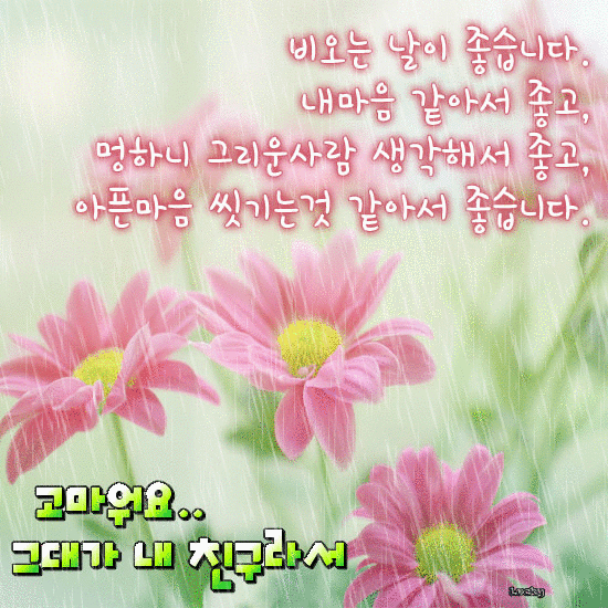 π§οΈ λΉμ μΈμ (δΊΊη)