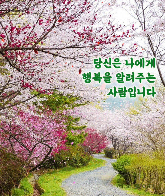 π ν볡μ μ΄μ΄κ°λ μ¬λλ€