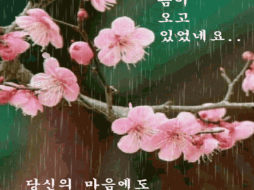 πΈΒ νμ© κ³μ μ λ΄μ΄λΌ ν©λλ€