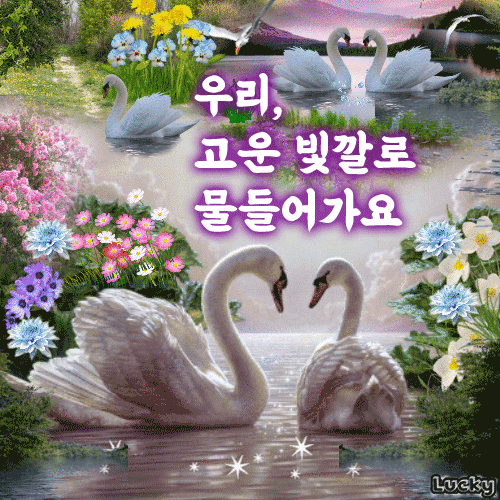 ๐ ๊ณ ์ด ๋น๊น๋ก ๋ฌผ๋ค์ด๊ฐ์