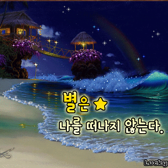 별은 나를 떠나지 않는다