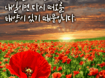 ์น๊ตฌ์ผ ๊ฑฐ ์ฐธ ๋ณ๊ฑฐ ์๋ค