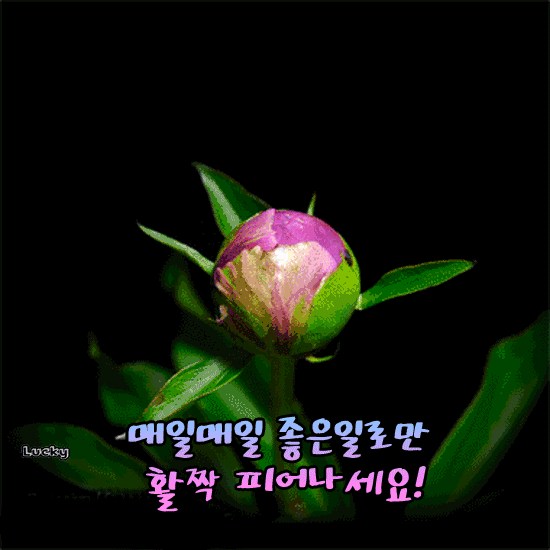 좋은 일들이 많아지게 하소서